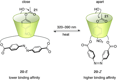 The structure of photoswitchable catalyst 20.