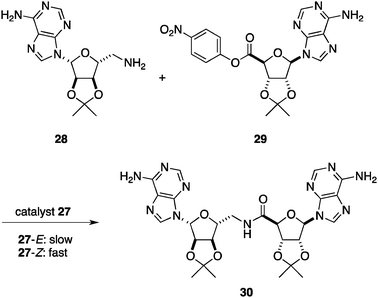 Amide bond formation of adenine-containing amine 28 and p-nitrophenyl ester 29.