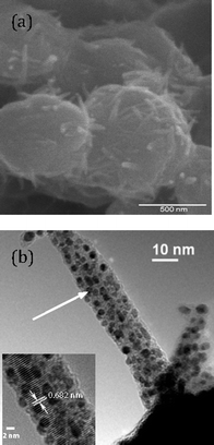Electron micrographs of dull brown Au particles with sea urchin morphology. (a) Scanning electron micrograph (SEM) measured at 50 000× magnification; (b) transmission electron micrograph (TEM) measured at 64 000× magnification, with the inset showing a HRTEM image focusing on the lattice fringes. The white arrow in (b) points to the area that is magnified in the high resolution image (inset).27 Reprinted with permission from the American Chemical Society.