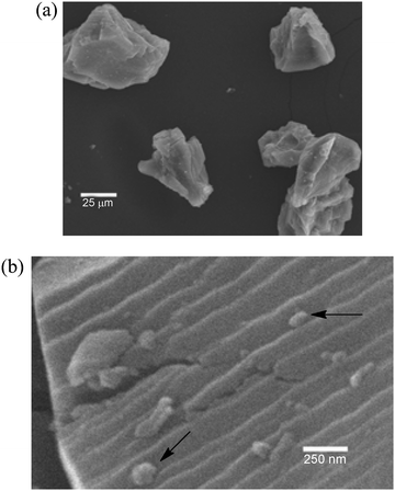 Scanning electron micrograph of gold powder: (a) 500× magnification and (b) 50 000× magnification. Black arrows point to small Au particles on the surface of the much larger Au particles.31 Reprinted with permission from Elsevier.