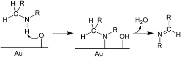 Proposed mechanism for the oxidative dehydrogenation of secondary amines (eqn (1)).35