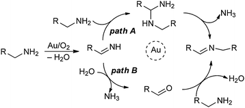 Proposed mechanisms for the gold-catalyzed aerobic oxidation of primary amines to imines according to eqn (6).31 Reprinted with permission from Elsevier.