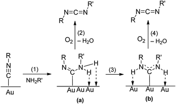 Mechanism for the Au-catalyzed reaction of isocyanides (R–NC) with primary amines (H2NR′) and O2.48 Reprinted with permission from the American Chemical Society.