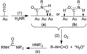 Mechanisms for the gold-catalyzed reactions (eqn (23)) of CO with primary amines (H2NR) and O2.70 Reprinted with permission from the American Chemical Society.