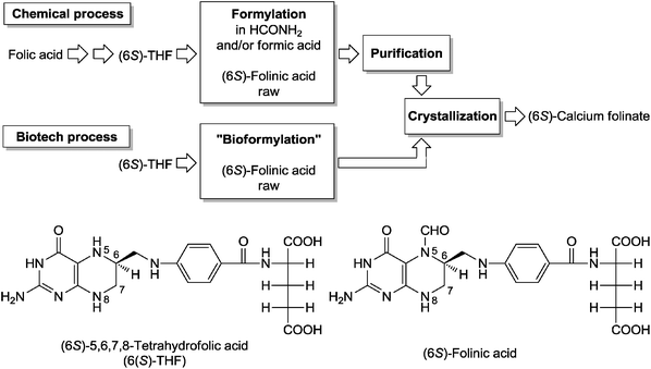Chemical and biotech processes for the formylation of (6S)-5,6,7,8-tetrahydrofolic acid (THF) in the synthesis of (6S)-calcium folinate. The use and disposal of the relatively toxic compounds formamide and formic acid can be avoided in the biotech process where N-formylglutamic acid is used as a formyl-group donor.
