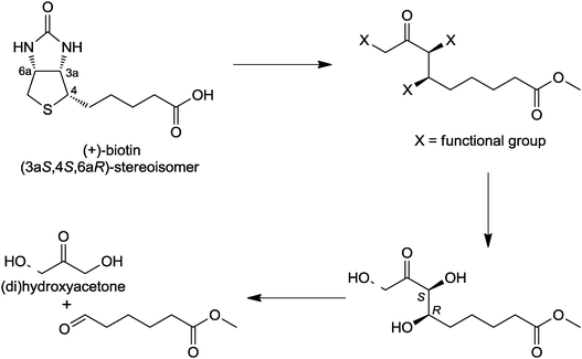 Retrosynthetic scheme from DHA and HA to (+)-biotin.