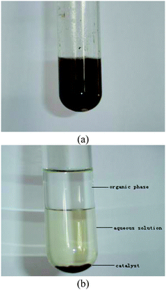 (a) Catalyst in the homogeneous phase; (b) recoverable catalyst in the heterogeneous phase.