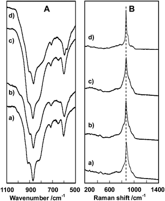 FT-IR (A) and Raman (B) spectra of orthorhombic (a), trigonal (b), amorphous (c), and tetragonal (d) Mo3VOx catalysts.