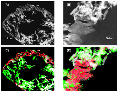 TEM micrographs showing the internal part of a cracking catalyst particle (A), a detail of the external layer (B) and the corresponding images with superimposed EDS maps of the distribution of Si (green), Al (white) and Mo + S (red) (C and D). The micrograph and the maps collected at higher magnifications show that MoS2 is preferentially located in correspondence with the accumulations of coke (see (B) and (D)).