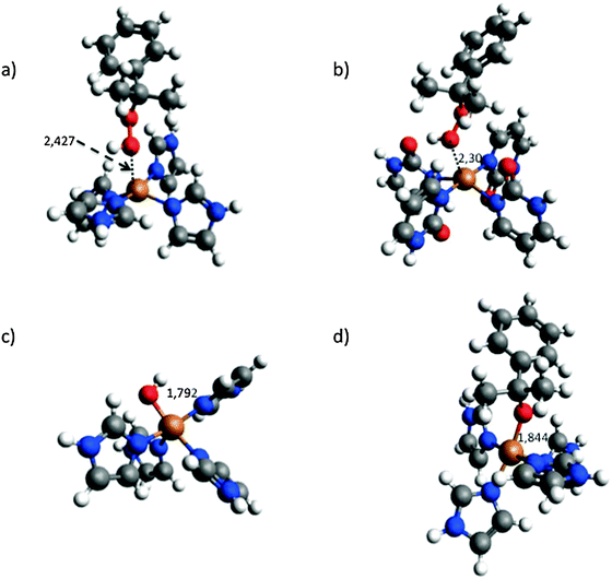 Optimized structures of the complexes formed by interaction of: (a) cumene-hydroperoxide with [Cu(im)2] (b) cumene-hydroperoxide with [Cu(2-pymo)2] (c) hydroxyl radical with [Cu(im)2] and (d) cumene-hydroperoxyl radical and [Cu(im)2]. Carbon, nitrogen, oxygen, hydrogen and copper atoms are grey, blue, red, white and yellow, respectively.