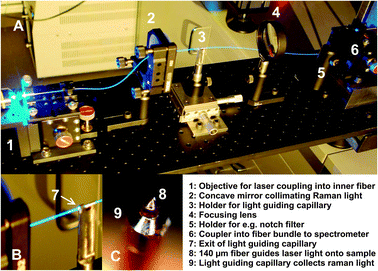 (A) Coupling scheme for fiber Raman spectroscopy. The sensor tip (C) is inserted in the sampling capillary of the spatial profile reactor20 and aligned with the sampling orifice. (B) Magnified view showing the end of the light guiding capillary bringing back Rayleigh and Raman light scattered by the catalyst. (C) Beveled fiber tip inside a light guiding capillary for irradiation and collection of scattered light perpendicular to the fiber axis.