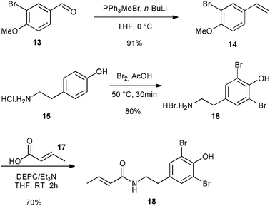 Synthesis of CM partners for synthesis of 19.