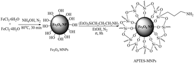 The preparation of 3-aminopropyltriethoxysilane coated on magnetic Fe3O4 nanoparticles [APTES-MNPs].