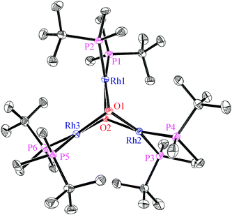 Molecular structure of the cation of [Rh3(t-Bu-BisP*)3(μ3-OH)2][BF4] (only one of the two cations in the unit cell is shown); ORTEP, 30% probability ellipsoids. The hydrogen atoms of the ligand were omitted for clarity. Selected distances [Å] and angles [°]: Rh–Rh 3.074–3.084(2), Rh–P 2.177–2.185(2), Rh–O 2.146–2.163(4), P–Rh–P 85.0–85.2(1), O–Rh–O 68.6–68.9(2). 31P{1H}-NMR (MeOH-d4): δ = 85.1 ppm , JP–Rh = 196.9 Hz.