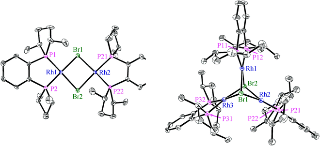 Molecular structure of [Rh2((S,S)-Me-DuPHOS)2(μ2-Br2)] (left) and of the cation in [Rh3((R,R)-Me-DuPHOS)3(μ3-Br)0,8(μ3-Cl)1,2][BF4] (right); ORTEP, 30% probability ellipsoids. Hydrogen atoms are omitted for clarity. Selected distances [Å] and angles [°] for [Rh2((S,S)-Me-DuPHOS)2(μ2-Br2)]/[Rh3((R,R)-Me-DuPHOS)3(μ3-Br)0,8(μ3-Cl)1,2][BF4]: Rh–Rh 3.263 (1)/3.221–3.274 (1), Rh–P 2.164–2.172 (1)/2.168–2.176 (1), Rh–Br 2.526–2.572 (1)/2.538–2.571 (8), P–Rh–P 86.0–86.1 (1)/85.4–85.7 (1), Br–Rh–Br 85.1–85.2 (1)/85.2–85.9 (2).