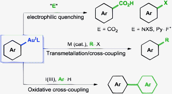 Transformations of aryl–Au(i) compounds.