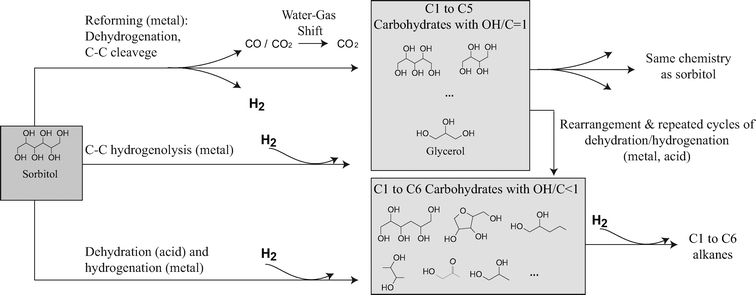 Reaction pathway for the aqueous phase reforming of sorbitol.