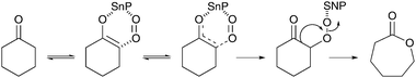 Proposed mechanism for the transformation of cyclohexanone to ε-caprolactone over HMSnP-1 in the presence of O2.96