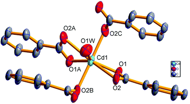 A new three-dimensional metal–organic framework constructed from 9 