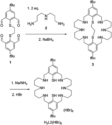 Binuclear nickel complexes with an edge sharing bis square