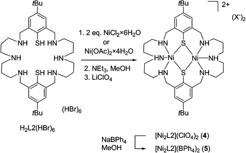 Binuclear nickel complexes with an edge sharing bis square