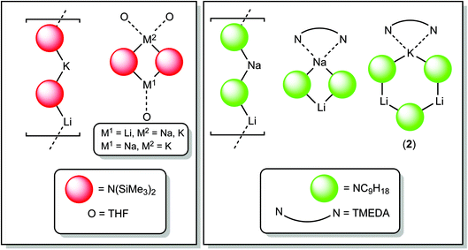 Pictorial representation of known molecular structures of hetero-alkali-metallic complexes of the utility amides HMDS (left) and TMP (right).