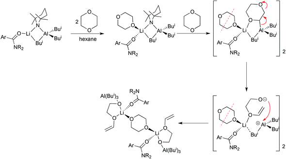 Proposed pathway for formation of an aluminated ring opened dioxane complex.