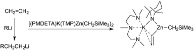 Contrasting reactions of ethene with organolithium and potassium TMP-zincate reagents.