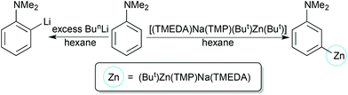 Contrasting reactivity of lithiation and AMMZn towards N,N-dimethylaniline.