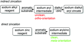 General distinction between indirect and direct zincation of aromatic substrates.