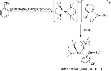 Kinetic and thermodynamic products from the AMMZn of trifluoromethyl benzene.