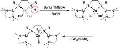 Lithium zinc co-operative capture of a hydride ion generated by β-elimination from a t-butyl ligand.