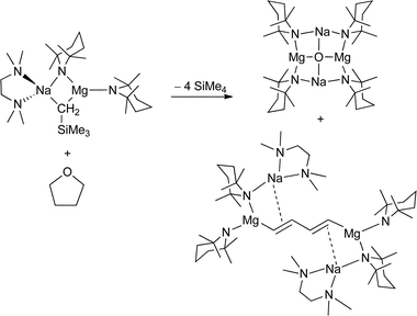 Catastrophic cleavage of THF via a sodium TMP-magnesiate reagent.