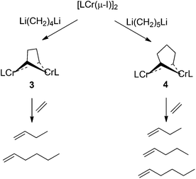 Synthesis and ethylene reactivity of binuclear metallacycles.