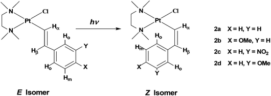 Sketches of isomers E and Z with identification of alkenyl protons and numbering of the complexes.