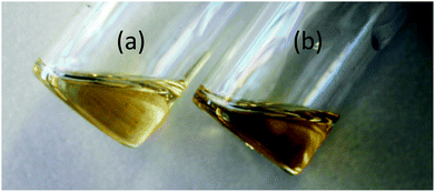 Photographs of the room temperature ionic liquids of the selected samples of the [P6 6 6 14]Cl–PbCl2 system; (a) χPbCl2 = 0.28 and (b) χPbCl2 = 0.37.