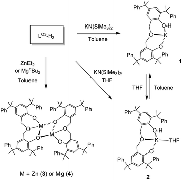 Potassium, zinc, and magnesium complexes of a bulky OOO-tridentate