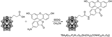 Synthesis of TBA6K[α2-P2W17O61{Sn(CH2)2CONHC20H11O5}] labeled with fluorescein amine.