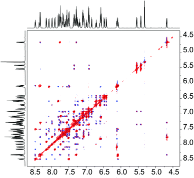 Aromatic resonances of 4b in the 1H-NOESY spectrum (mixing time of 500 ms) in CD2Cl2 at 21 °C. Negative NOE correlations are shown in blue, positive exchange correlations are shown in red.