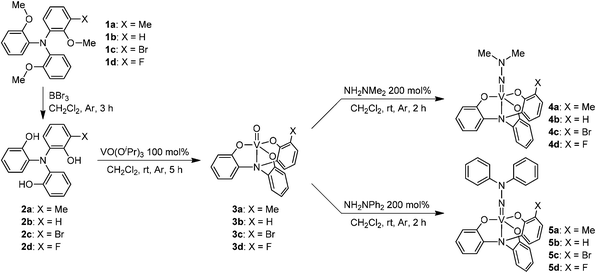 Synthesis of the vanadium(v) hydrazido complexes 4 and 5.