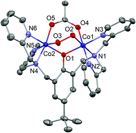 Complex 1-oxy drawn with 50% displacement ellipsoids (H atoms omitted). The geometry is essentially identical in all other complexes.