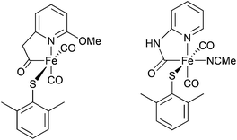 Monomeric thiolate-containing models of [Fe]-hydrogenase active site reported by Hu and coworkers (left)15 and Pickett and coworkers (right).19