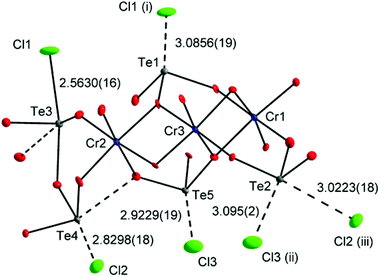 Asymmetric unit with selected symmetry equivalents. Long Te–O and Te–Cl interactions are indicated by dashed lines. The [CrO6] octahedra form chains along [100] via edge sharing.