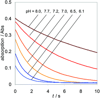 Four to six decay traces per pH value (0.25 mM peroxynitrite in 70 mM phosphate buffer at 25 °C and I = 0.2 M, see Table 2) were measured at 302 nm and averaged.