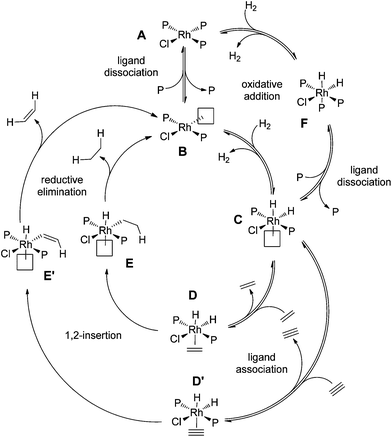 Catalytic cycle for hydrogenation of alkyne to alkane, where the two hydrogenations compete with one another.