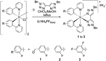 Synthesis of complexes in this study.