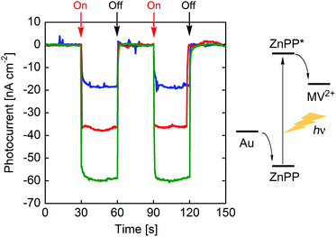 Photocurrent response patterns of (ZnPP–apoCYT)n@apoCYT/Au (in red), rCYT(ZnPP)/Au (in blue), and our previously reported hemoprotein assembly (in green)17b during on/off cycles of white light. The bias potential was −200 mV (vs. Ag|AgCl).