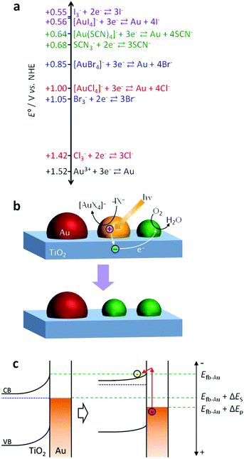 (a) Values of the standard electrode potential E° for oxidative coordination of Au with anionic ligands (X−) and oxidation of the anions to X3−. (b) Mechanism of spectral dip formation for the Au NP–TiO2 system. (c) Potential shifts of Au NPs and TiO2 due to the plasmon-induced charge separation in an open circuit system.