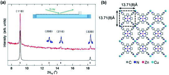 (a) In situ grazing incidence in-plane synchrotron X-ray diffraction (GIXRD) pattern (red line, λ = 1.549 Å, incidence angle, α = 0.12°) collected at the air–liquid interface for NAFS-21 nanosheets at a surface pressure, π = 5 mN m−1. The blue lines are higher statistics fine scans collected in the vicinity of the three weaker diffraction peaks. All four observed peaks up to a scattering angle, 2θ = 19°, index as (hk0) on a metrically tetragonal unit cell with basal plane dimensions, a = b = 13.71(8) Å (the Miller indices of the Bragg peaks are (110), (200), (210) and (220) in the order of increasing scattering angle). The calculated in-plane XRD profile (black line) for the structural model depicted in (b) is also shown with the positions of the Bragg reflections shown as black tick marks. (b) Basal plane projection of the crystalline structure of NAFS-21, which consists of a 2D “checkerboard” motif of ZnTPyP units linked by copper ions. The black dashed lines mark the in-plane square unit cell. C atoms are shown in grey, N atoms in blue, Zn2+ ions in pink, and Cu2+ ions in pale blue colour.