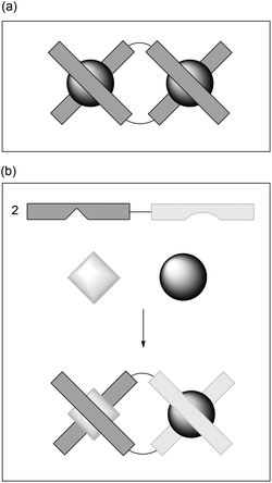 Showing (a) a conventional D2-symmetric helicate assembled from a bis(bidentate) ligand and two metal ions; and (b) a heterobimetallic C2-symmetric system.